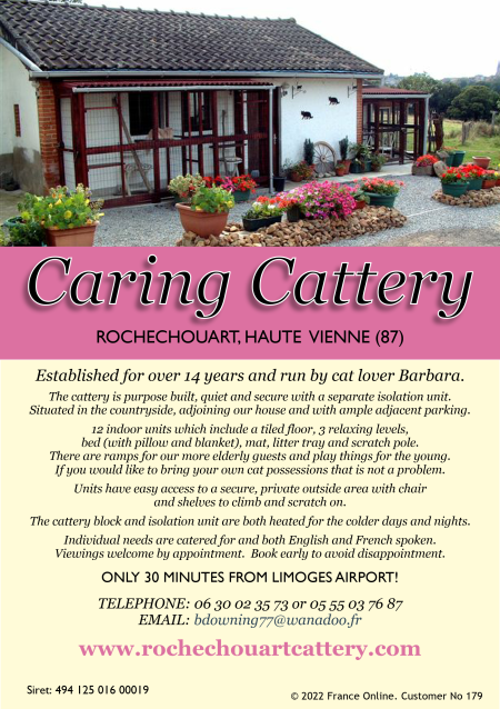 Caring Cattery 